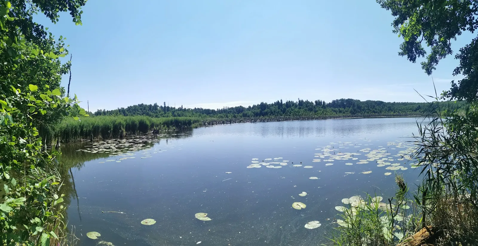Вид на озеро Фаулер-Зе в Германии