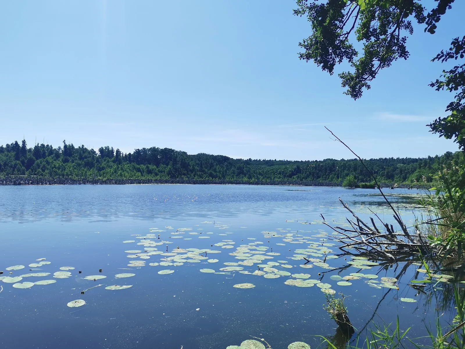 Вид на озеро Фаулер-Зе в Германии
