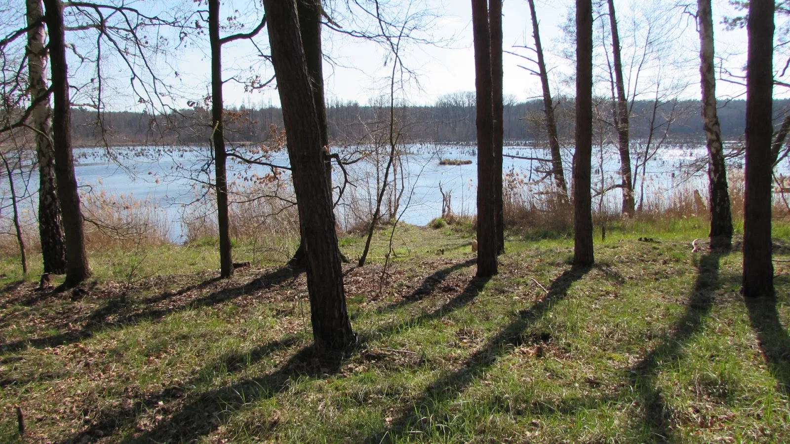 Вид на озеро Фаулер-Зе в Германии