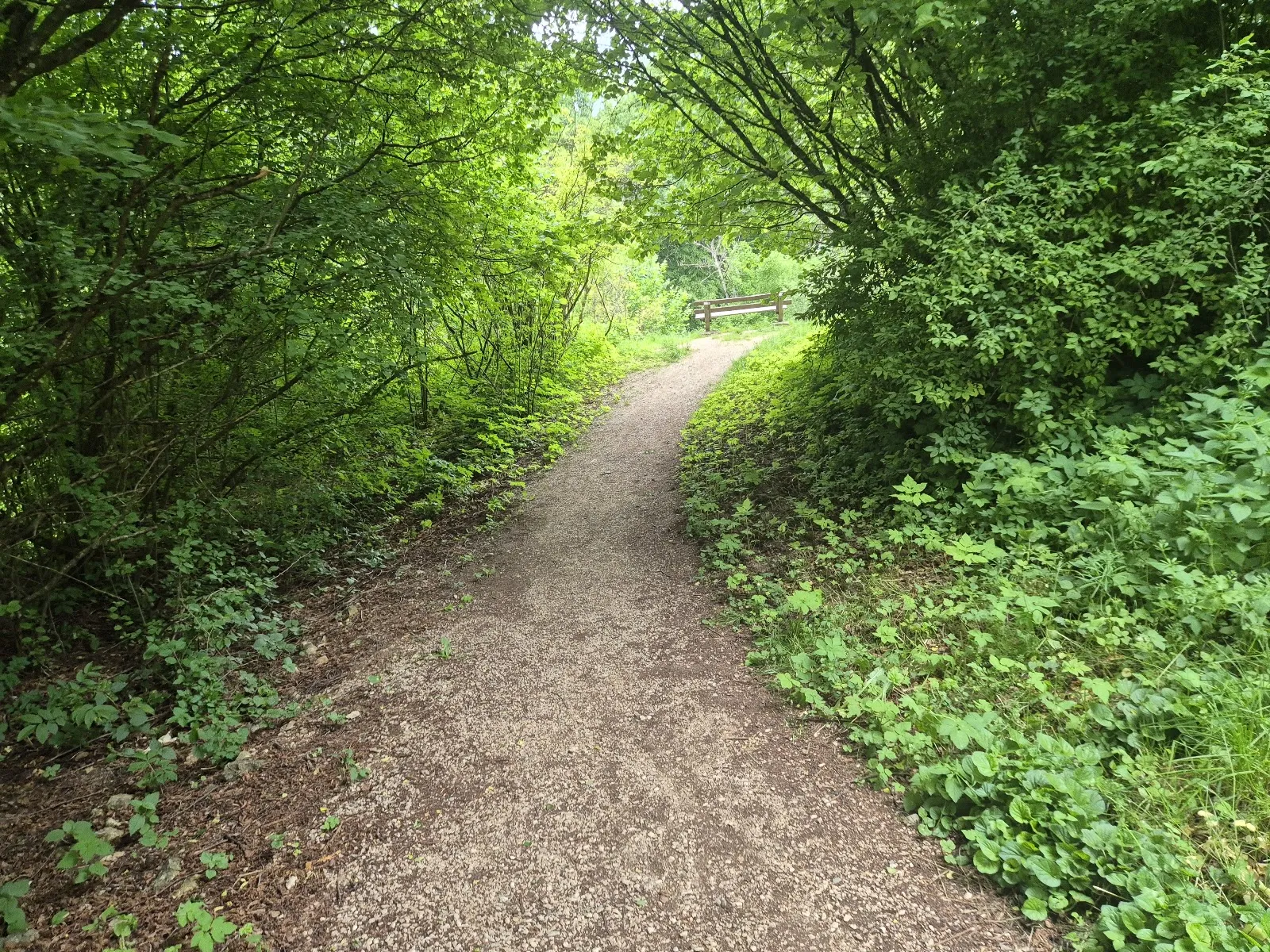 Ферингердорфский водопад в Германии