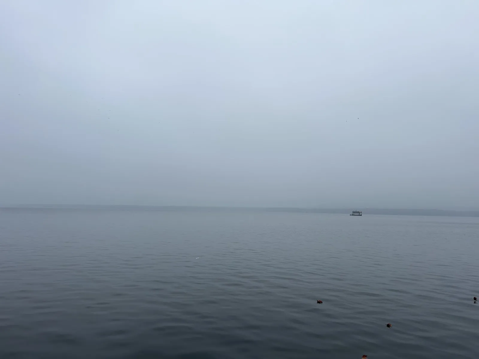 Плавательный бассейн Finnfloat в Берлине