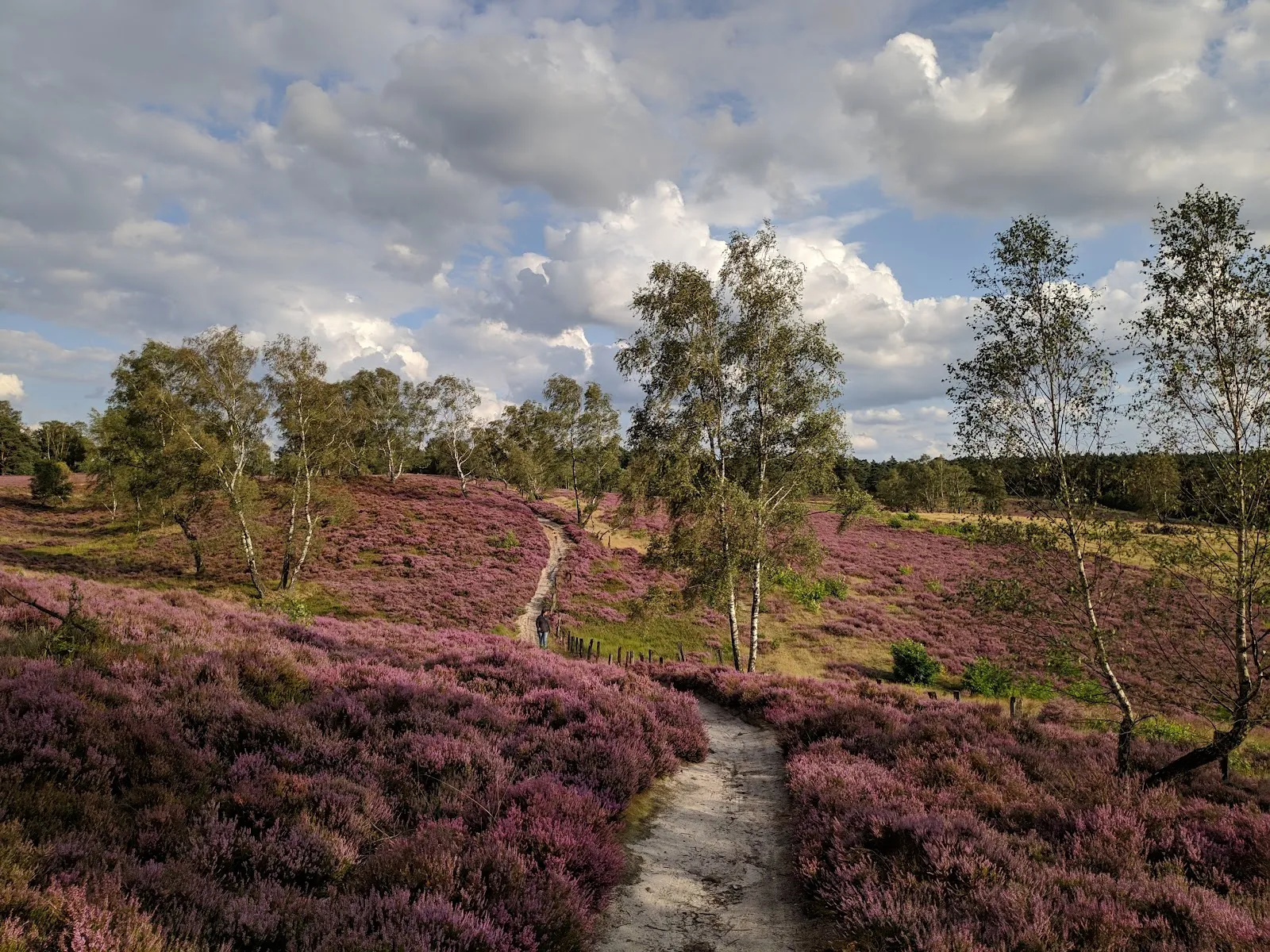 Фишбекер Хайде