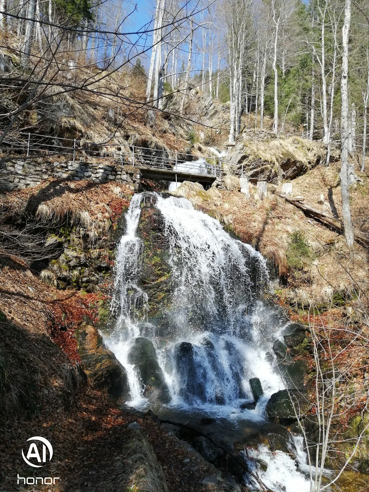 Флерский водопад в Германии