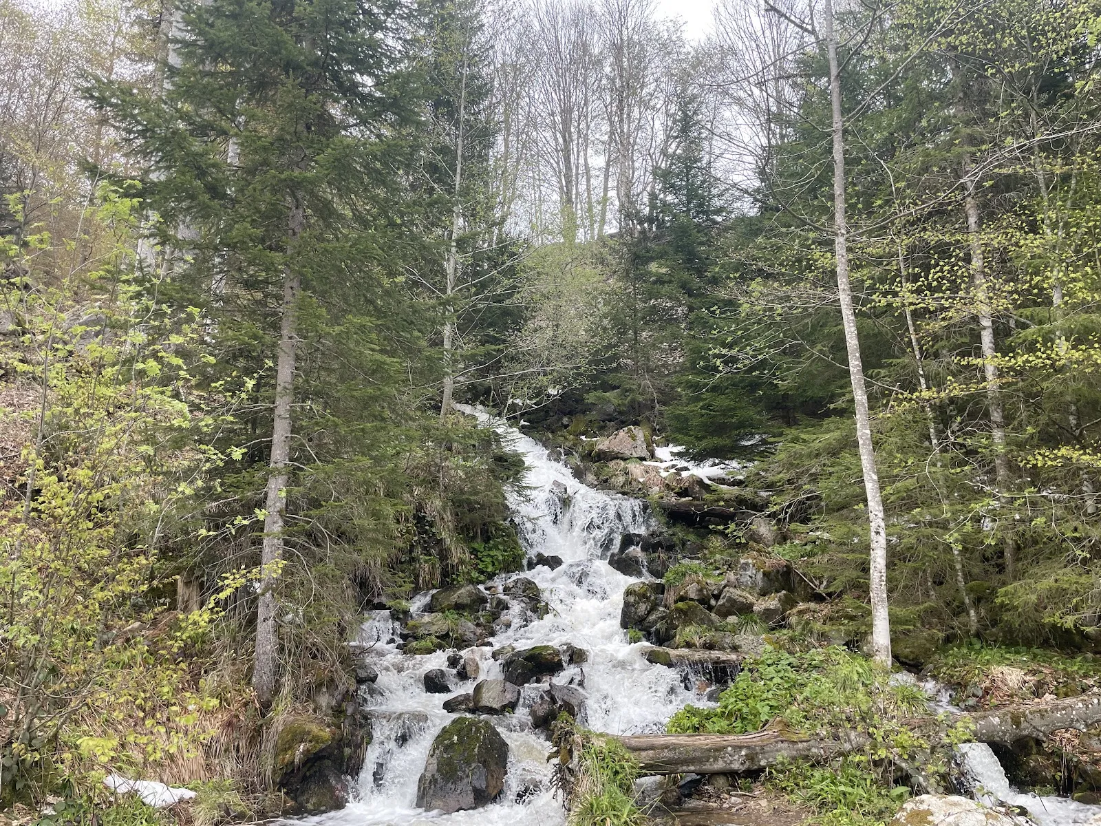 Флерский водопад в Германии