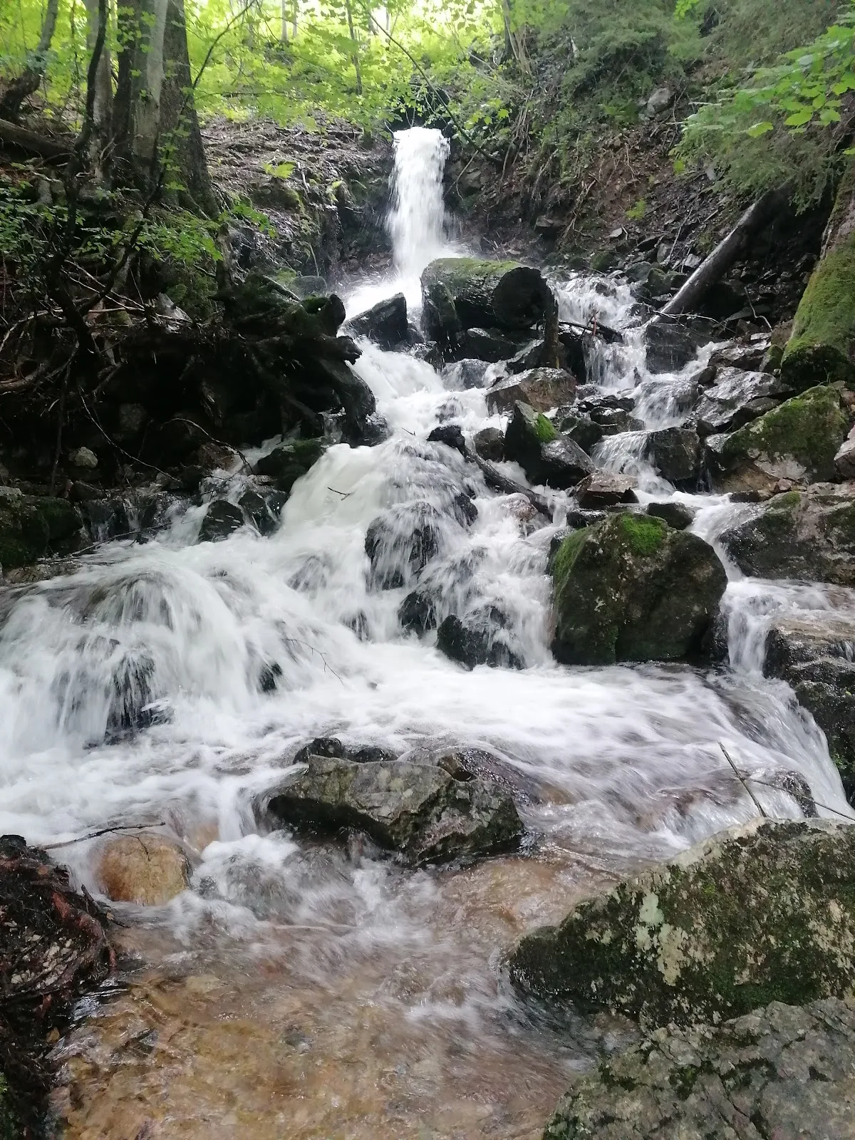Флерский водопад в Германии
