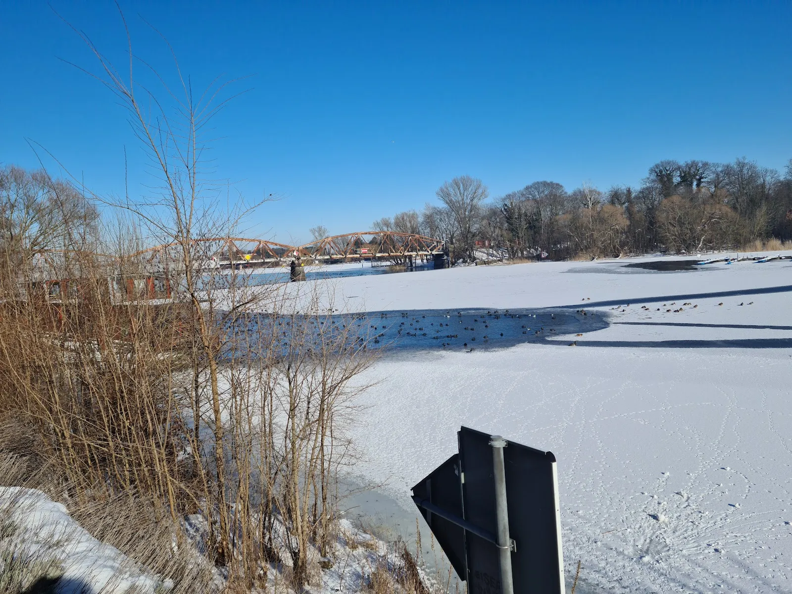 Фонтан-памятник Теодора Фонтане в парке Шлосспарк, Плауэ