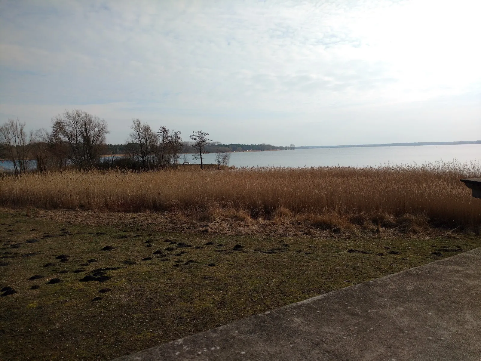 Фонтан-памятник Теодора Фонтане в парке Шлосспарк, Плауэ