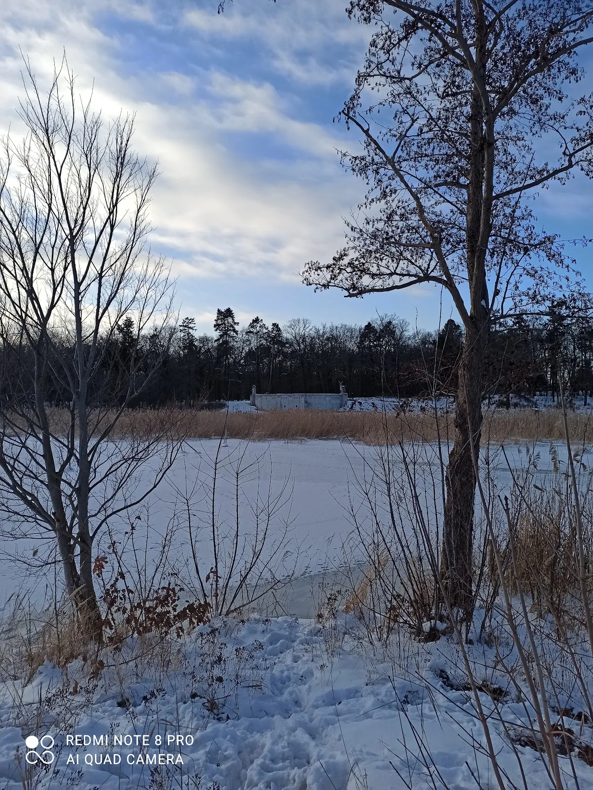 Фонтан-памятник Теодора Фонтане в парке Шлосспарк, Плауэ