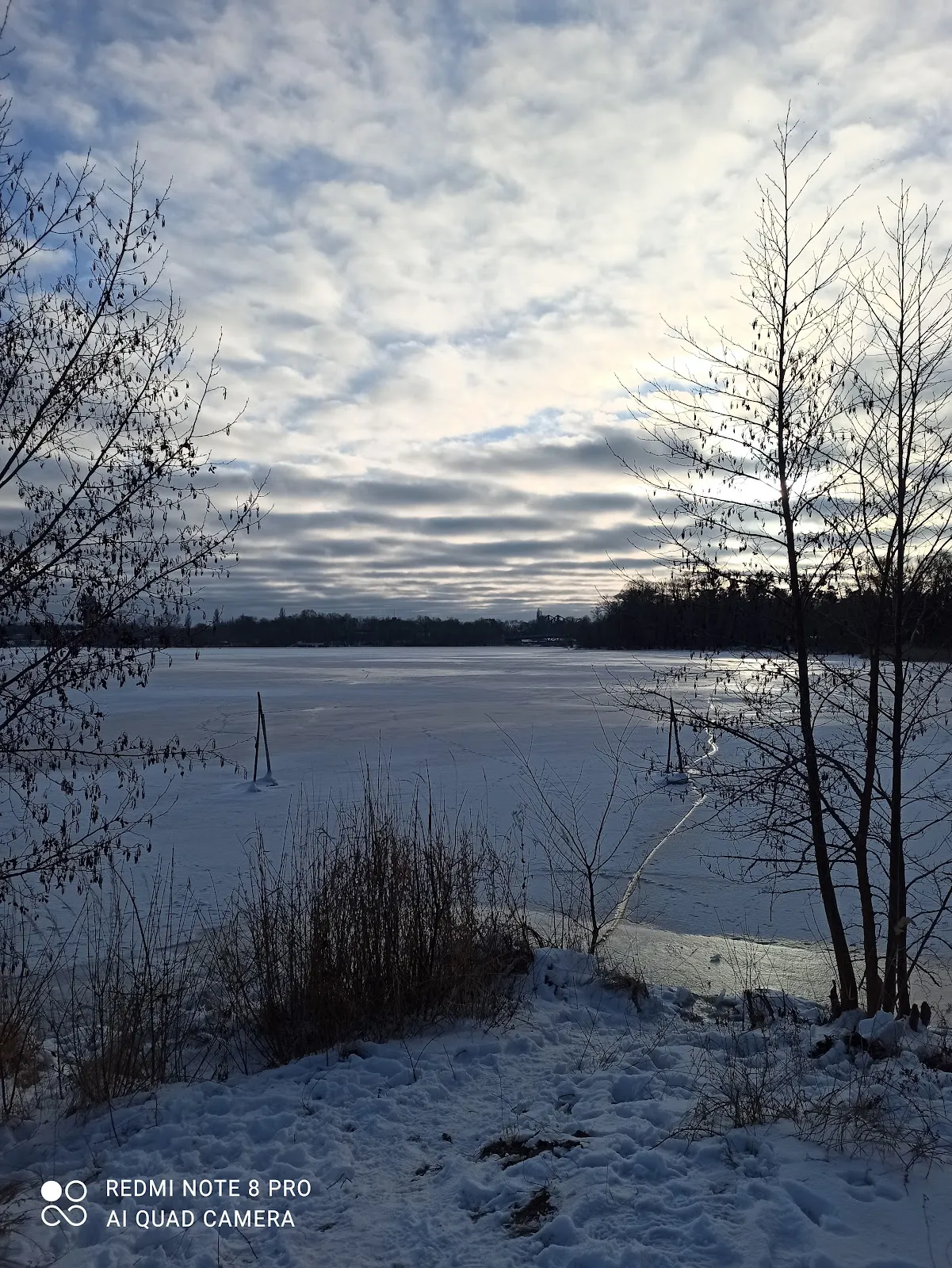 Фонтан-памятник Теодора Фонтане в парке Шлосспарк, Плауэ