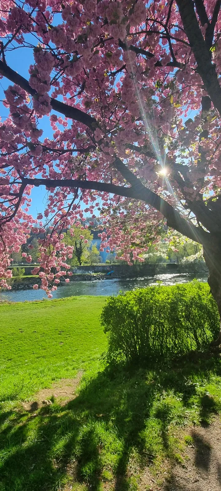 Фонтаны в Леннепарке, Хаген, Германия