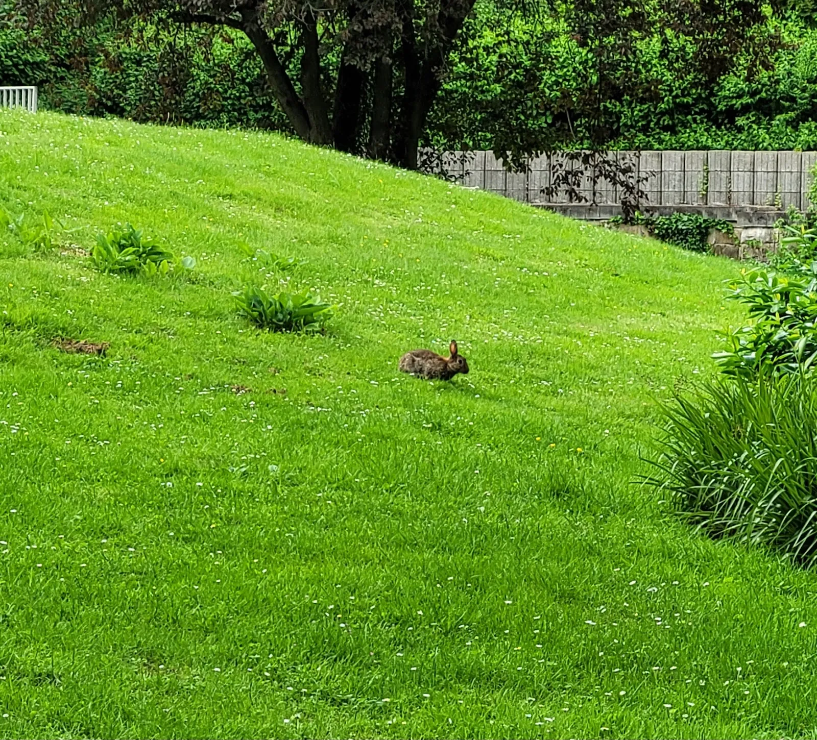 Фонтаны в Леннепарке, Хаген, Германия