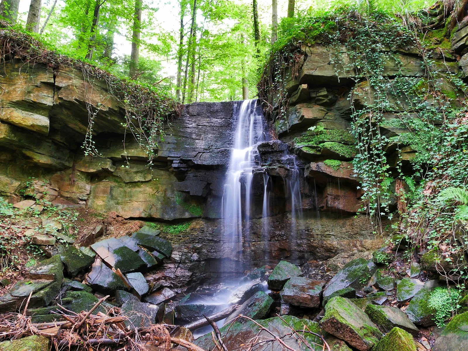 Форелленшпрунг