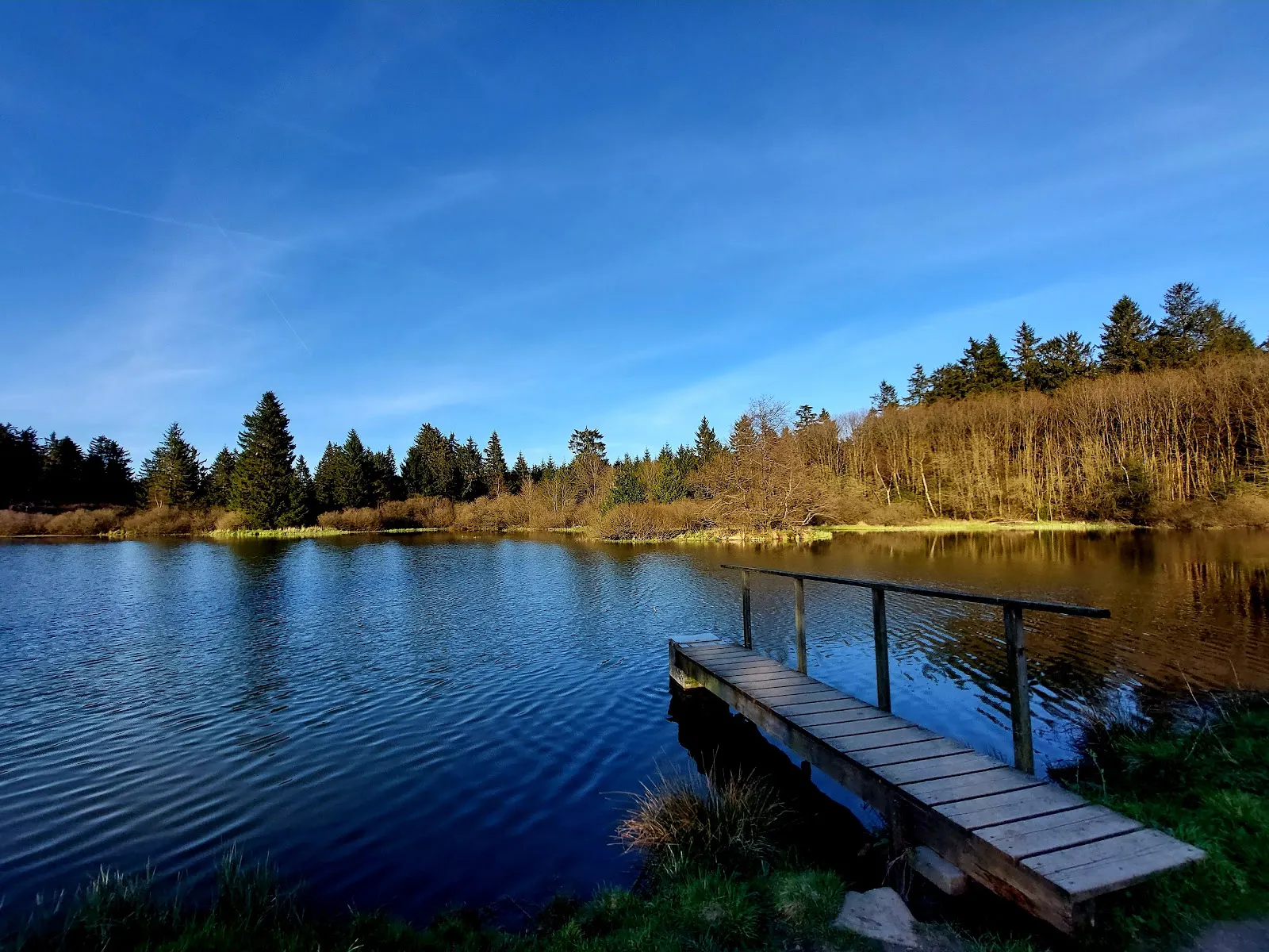 Фореллентайх (Запруды форели)