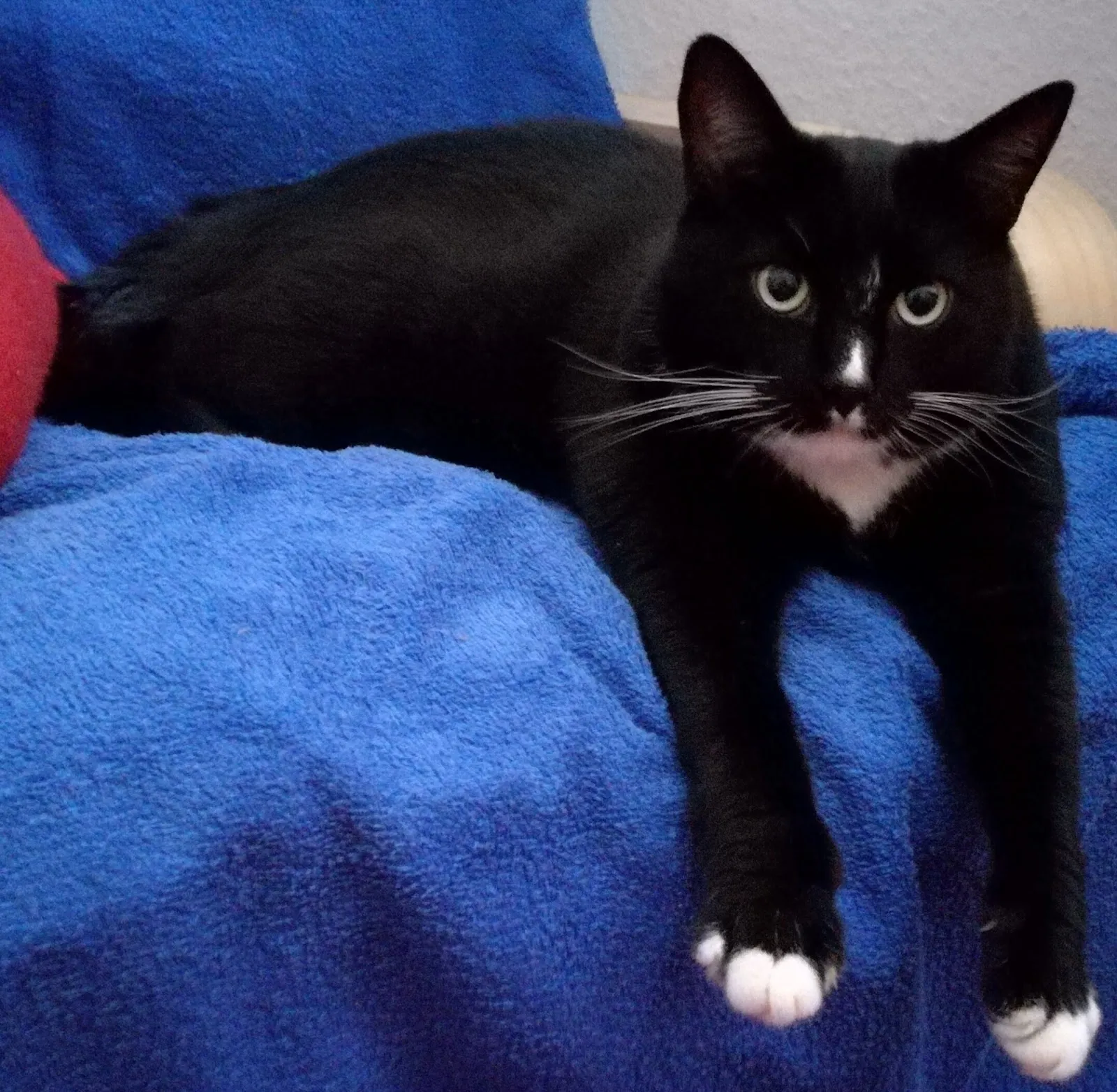 Фасад зоомагазина Fressnapf Bremen-Neustadt