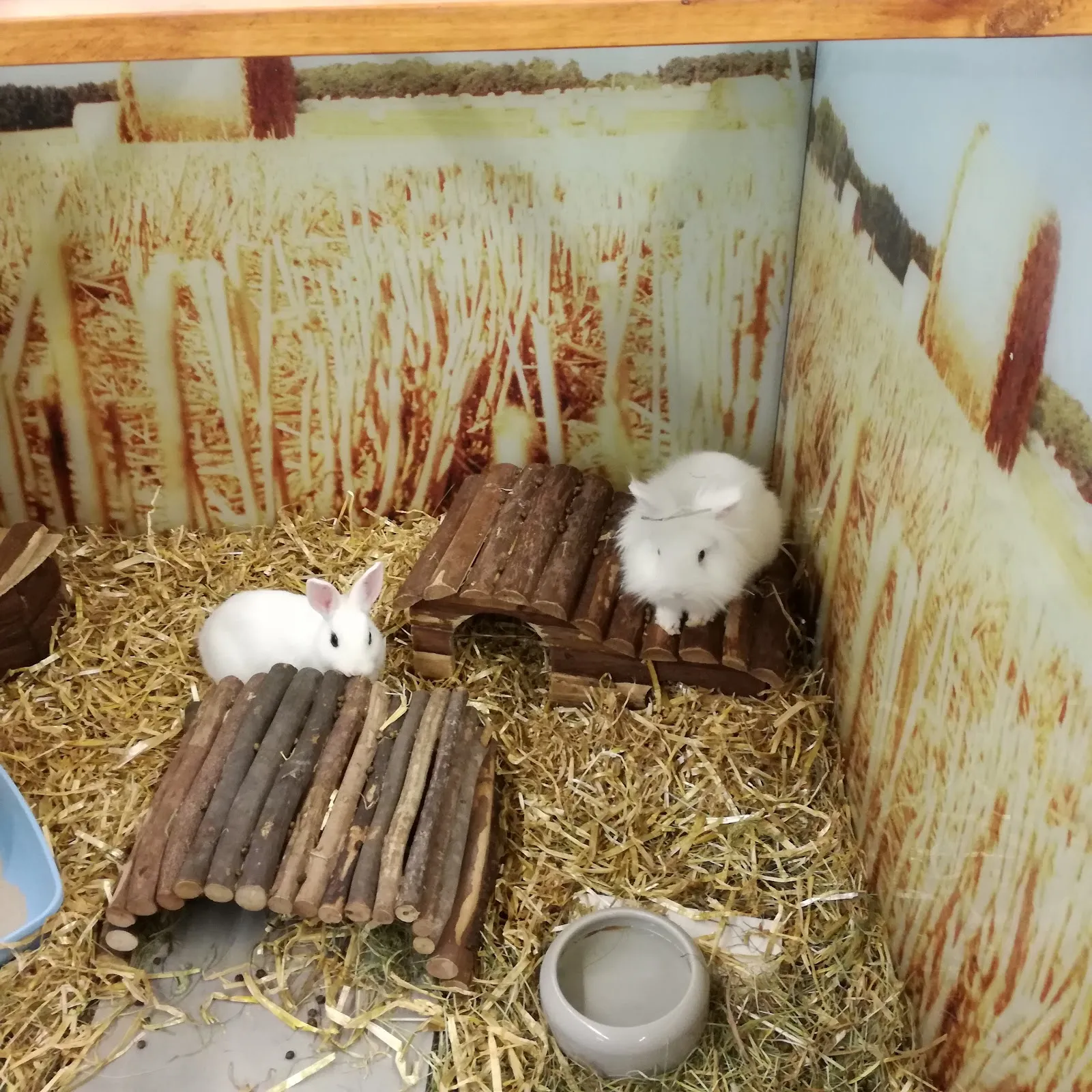 Фасад зоомагазина Fressnapf Bremen-Neustadt