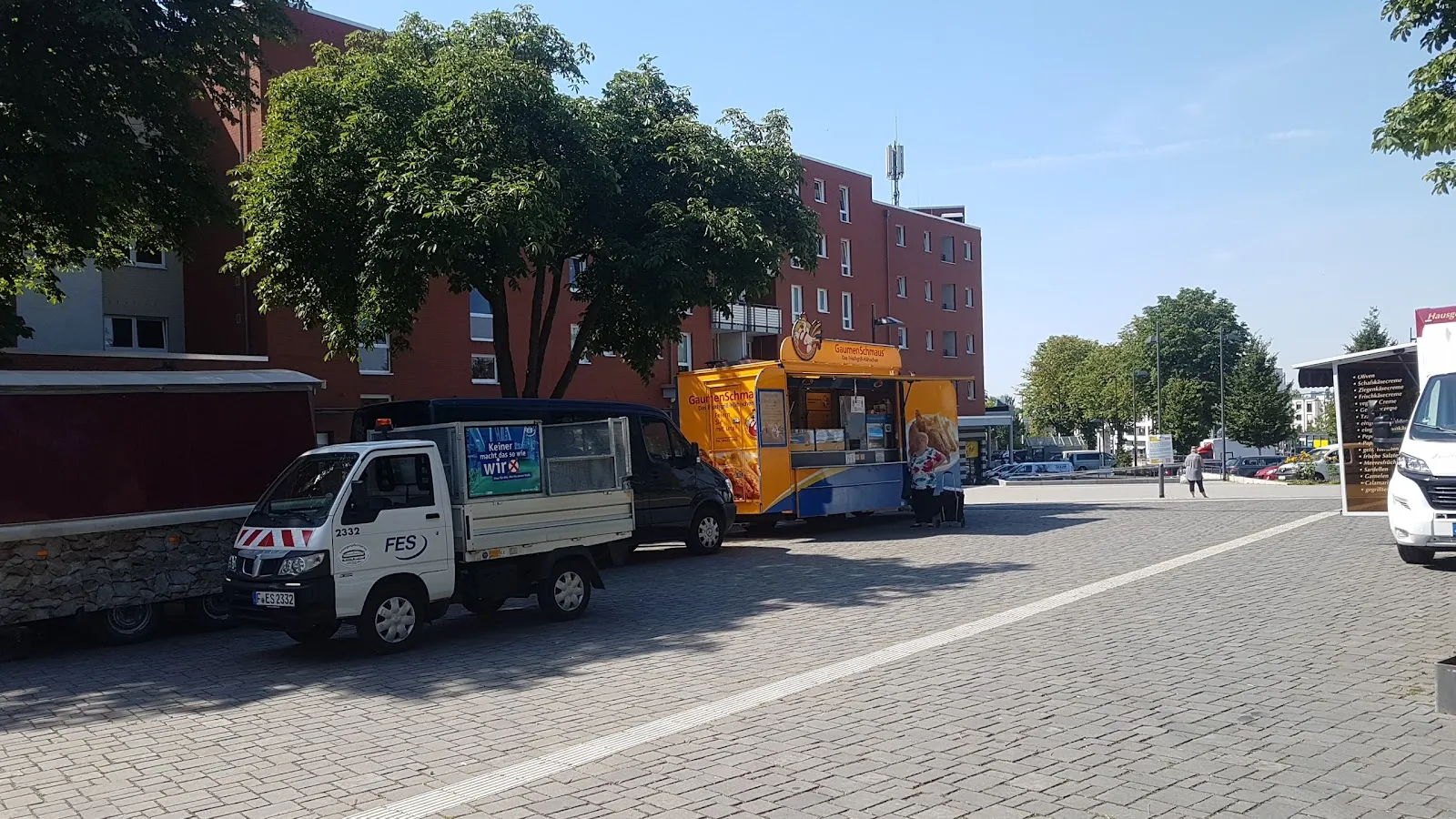 Фридбергер Варте