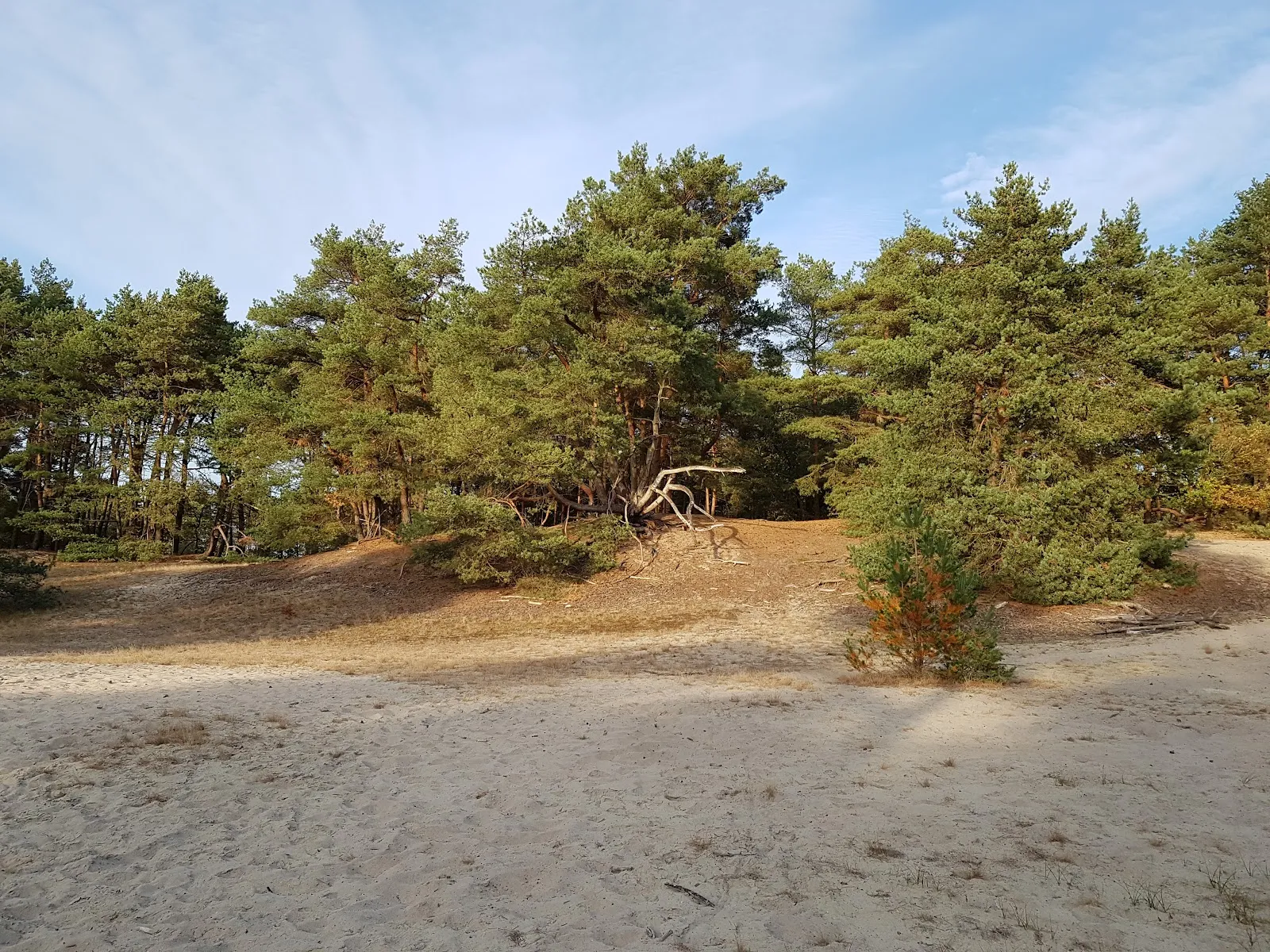 Ландшафт природного заповедника Фёльзен