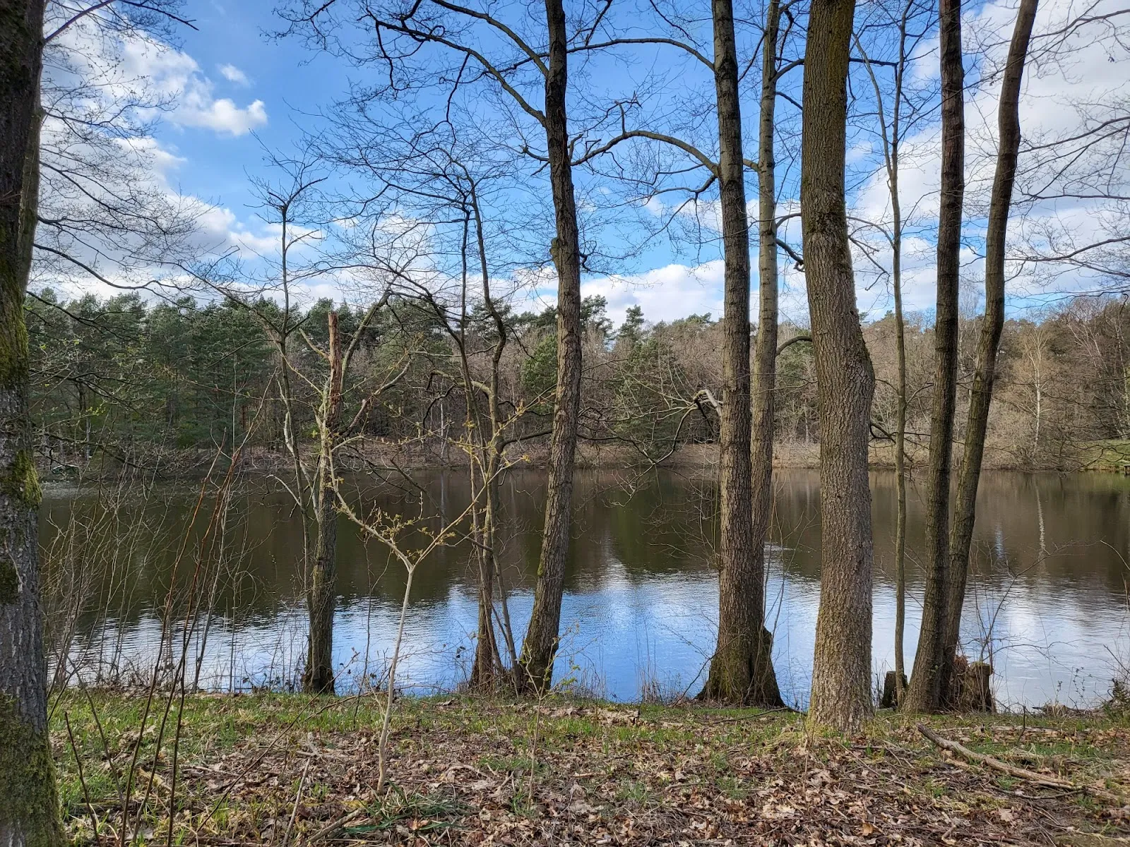 Ландшафт природного заповедника Фёльзен