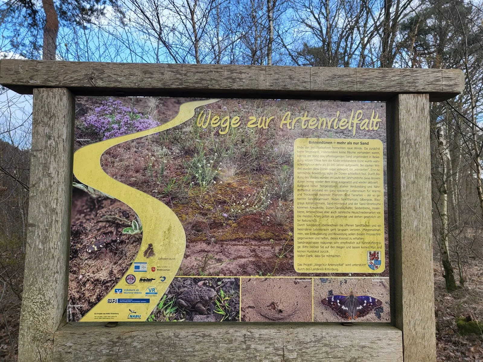 Ландшафт природного заповедника Фёльзен