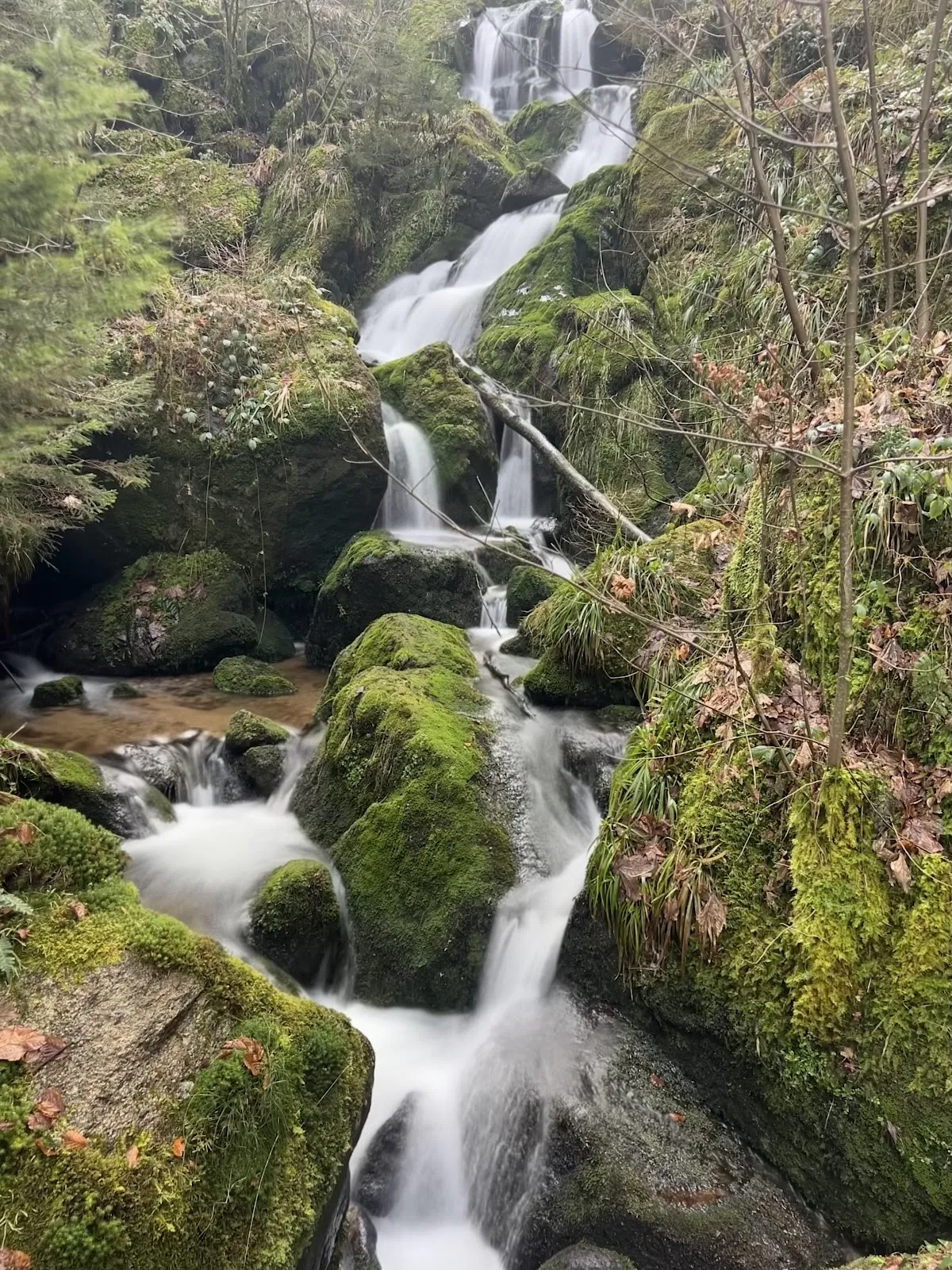 Водопад Гертэльбах, падающий по скалам, окруженный зеленью.