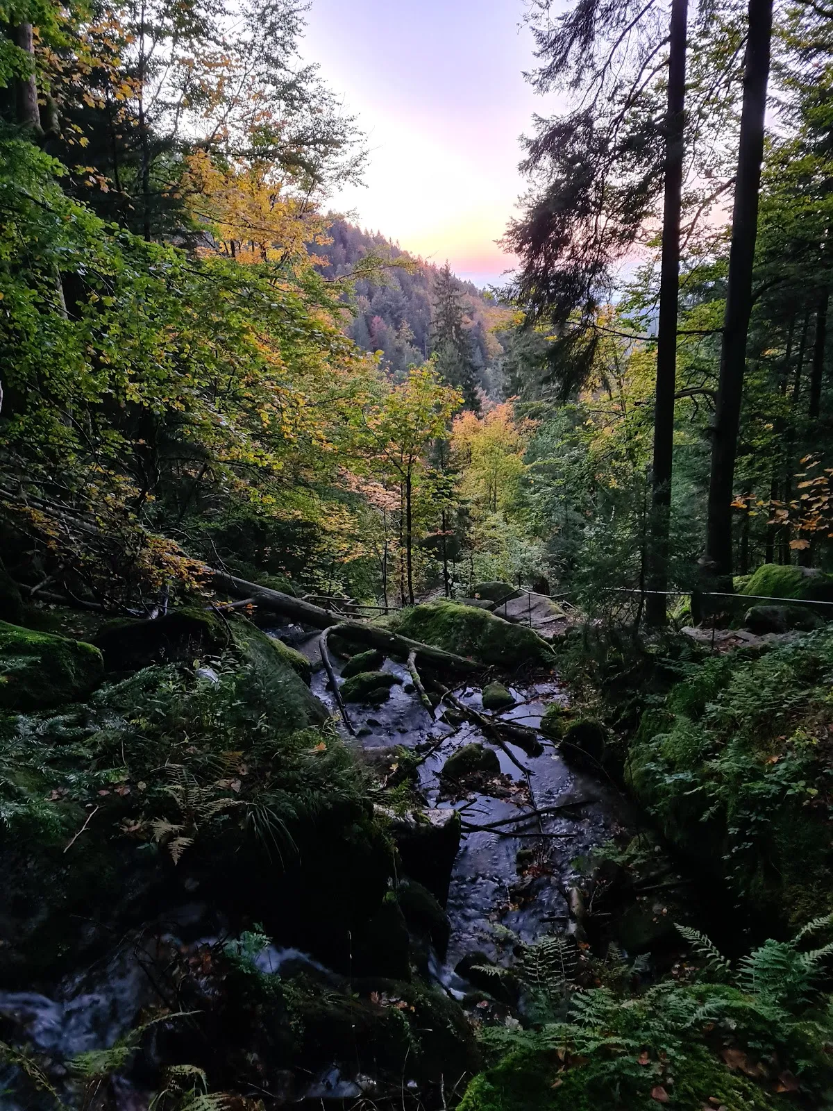Водопад Гертэльбах, падающий по скалам, окруженный зеленью.