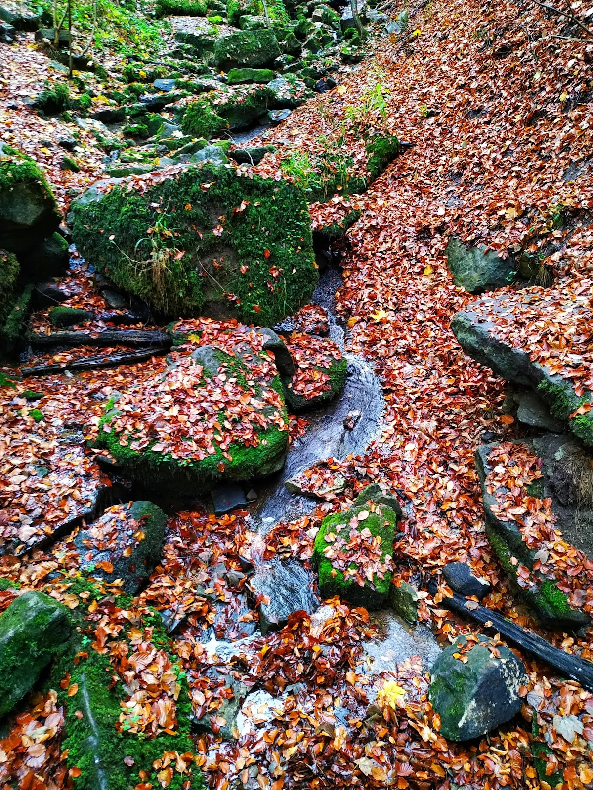Геслахские водопады в Штутгарте, Германия