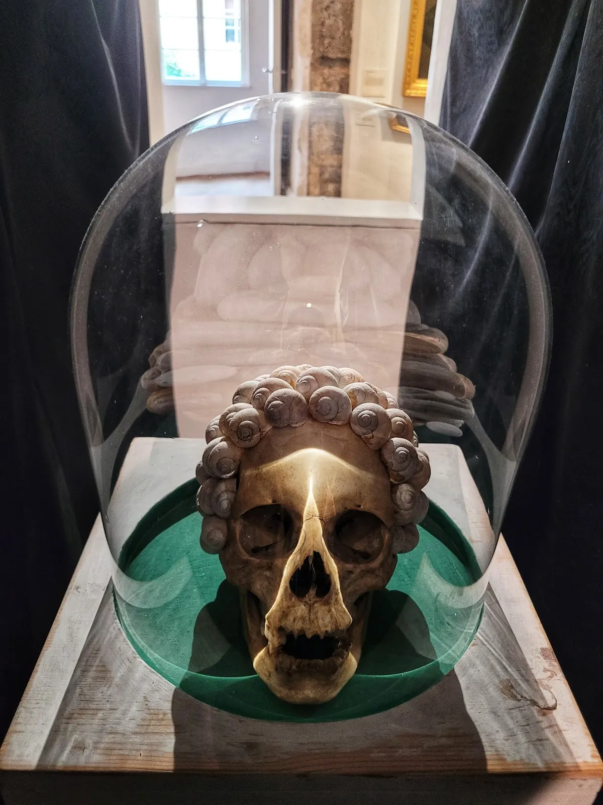 Экспонаты Гессен-Франконского музея