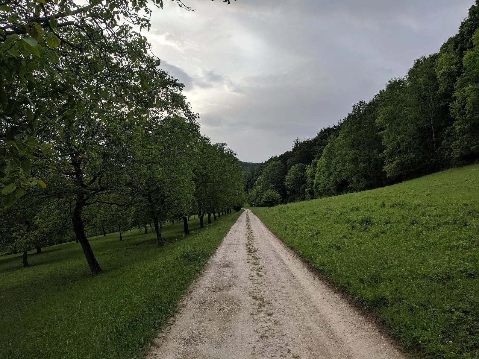 Природный заповедник Гольдланд-Клаузенберг