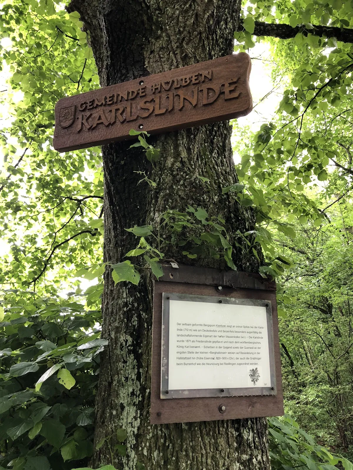 Природный заповедник Гольдланд-Клаузенберг