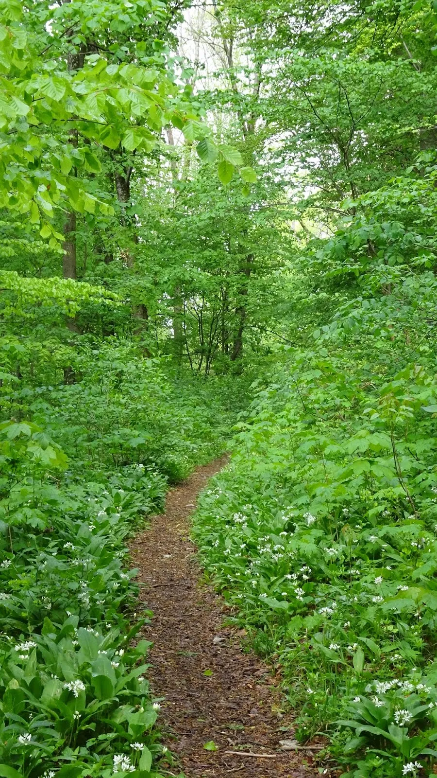 Природный заповедник Гольдланд-Клаузенберг