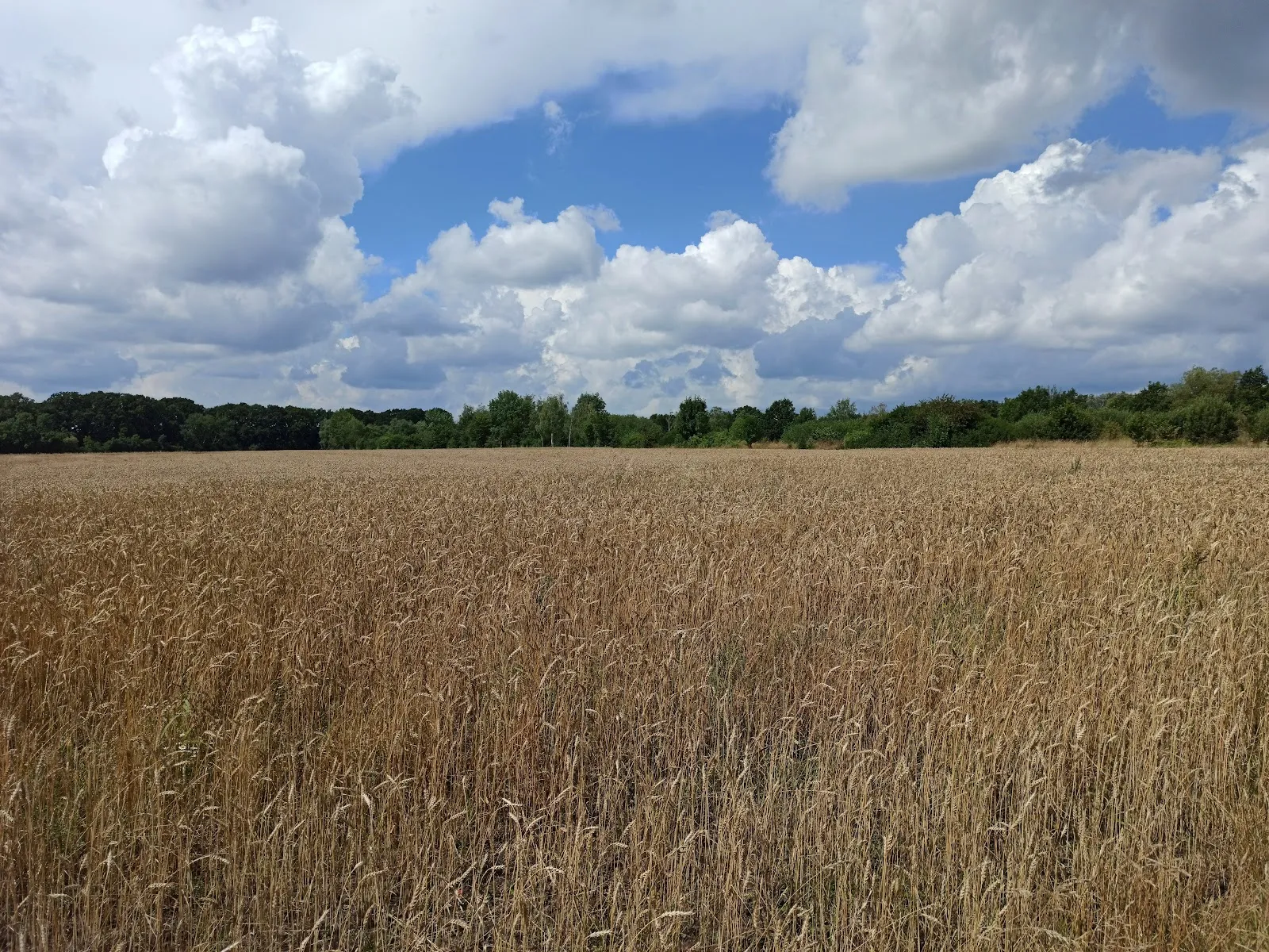 Тропа для прогулок рядом с гольф-полем в Изернхагене