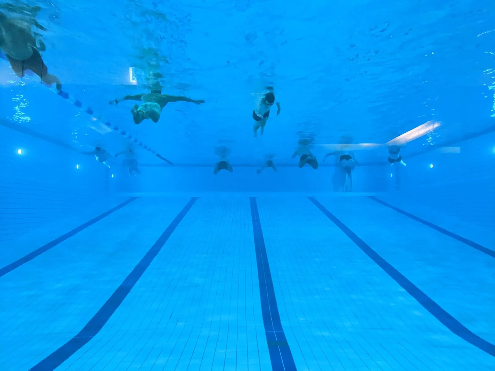 Плавание в бассейне Шёнеберг «Ханс Розенталь»