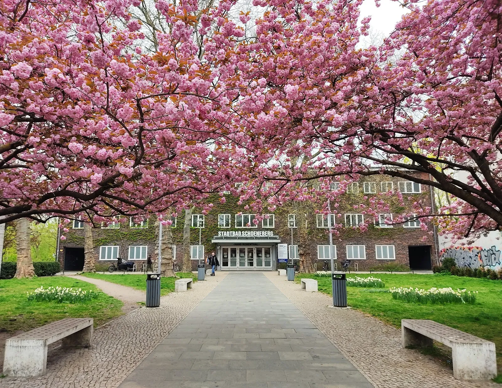 Плавание в бассейне Шёнеберг «Ханс Розенталь»