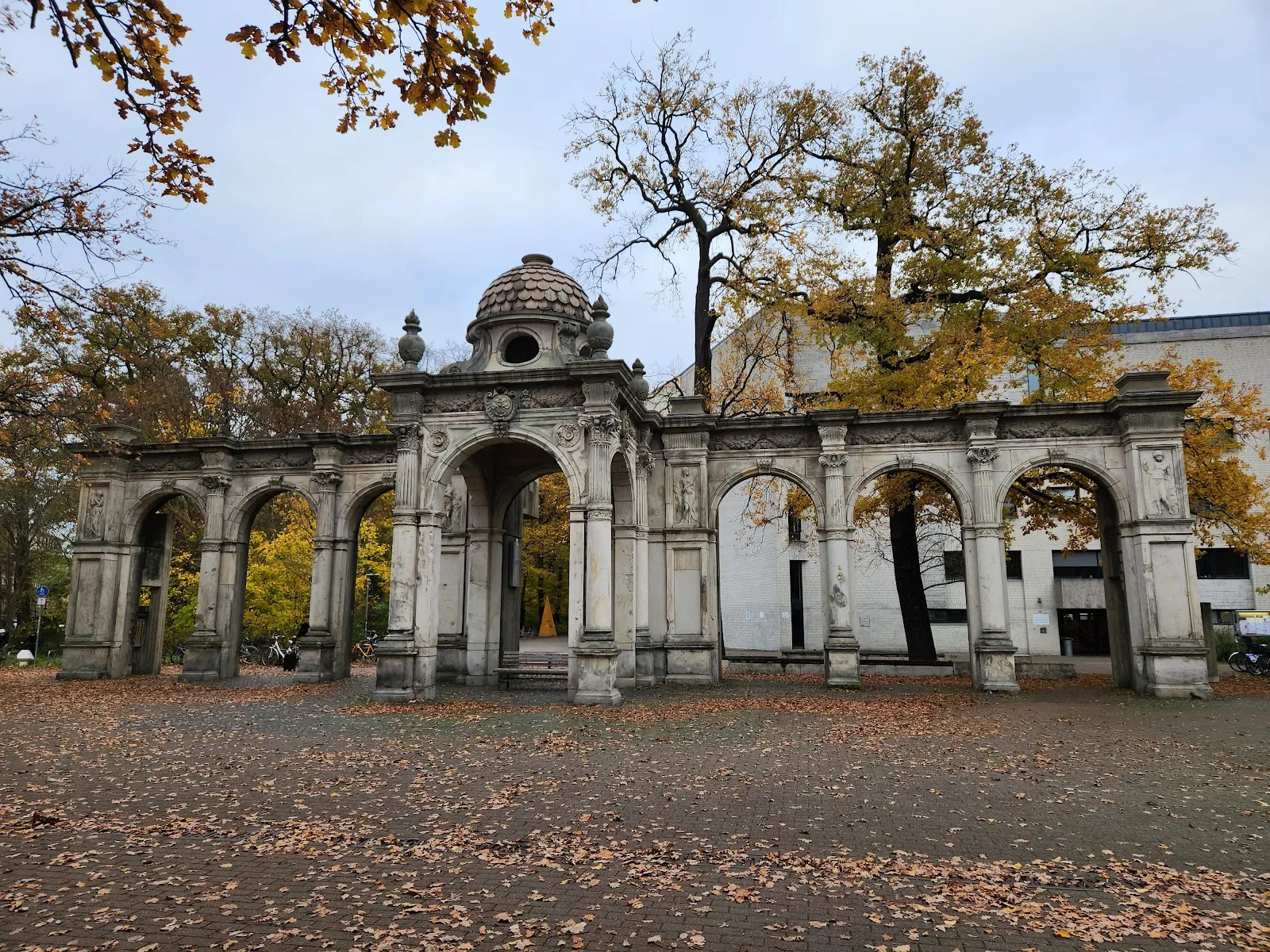 Фотография деревьев в городском лесу Айленриде, Германия