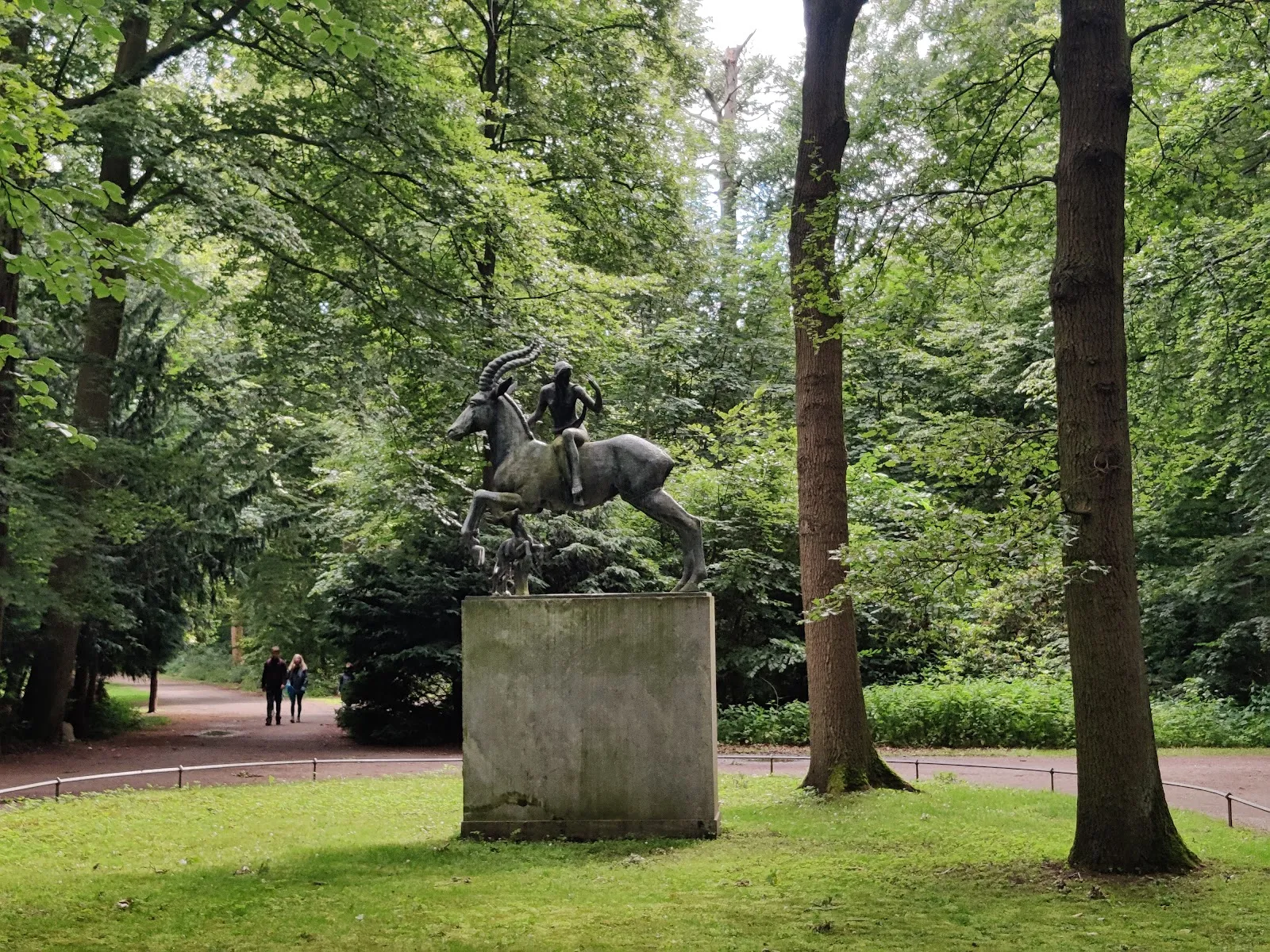 Фотография деревьев в городском лесу Айленриде, Германия