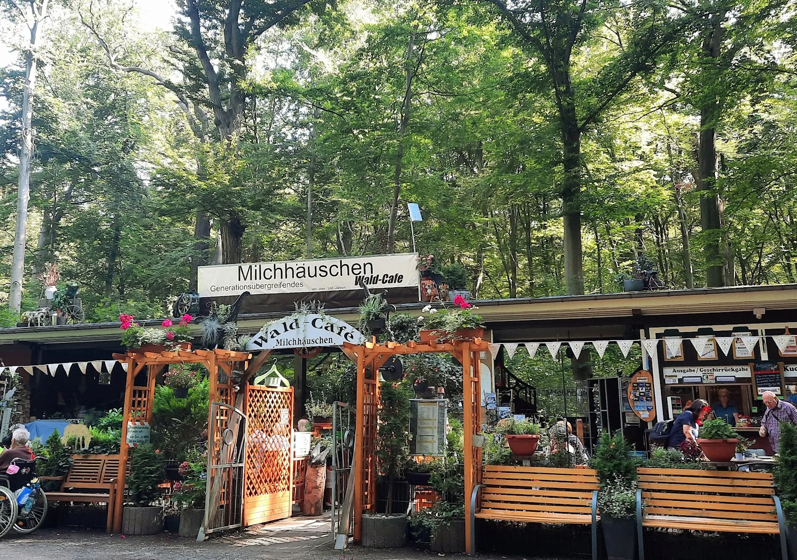 Фотография деревьев в городском лесу Айленриде, Германия