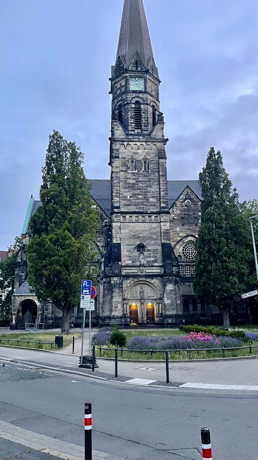 Фотография деревьев в городском лесу Айленриде, Германия