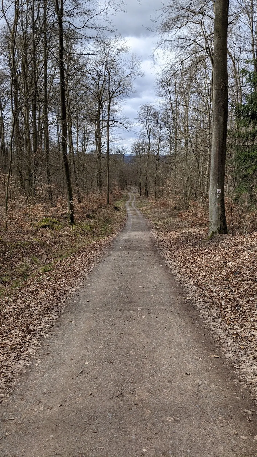 Городской лес Фрайцайтгеленде