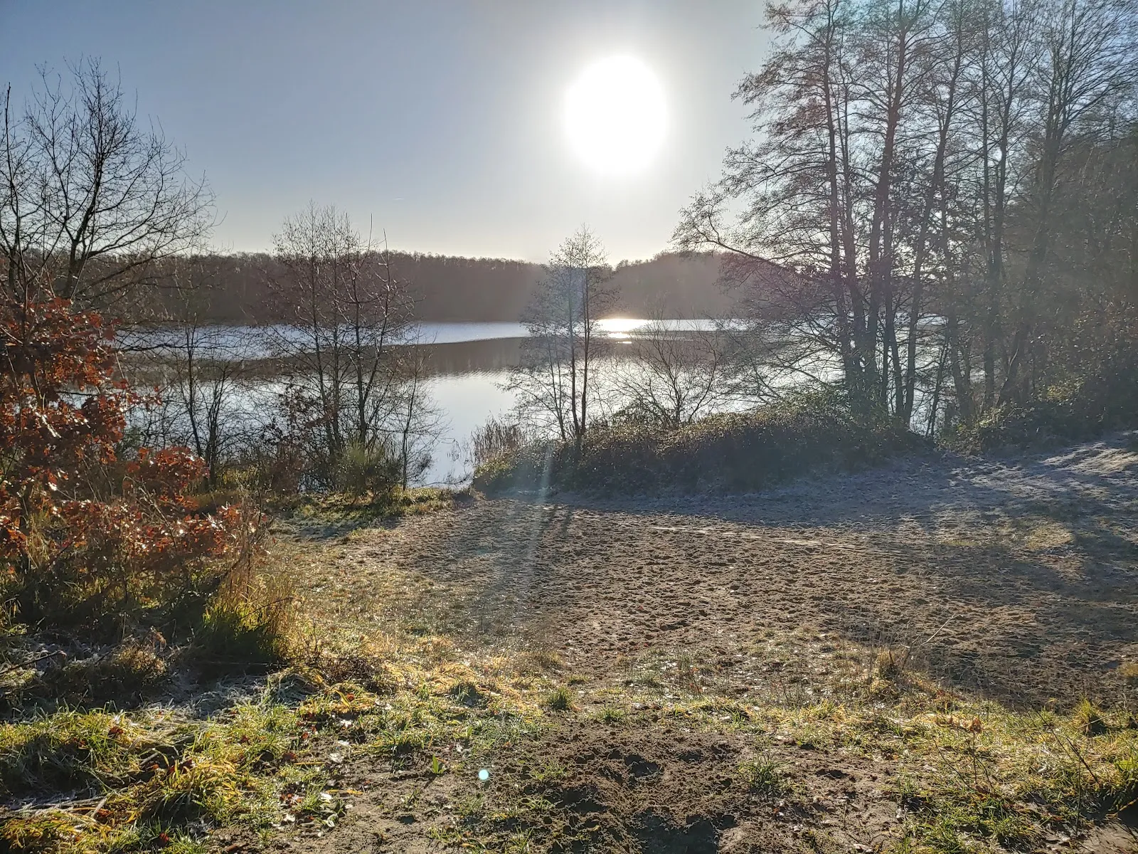 Пейзаж Городского леса Плау с деревьями и тропинкой