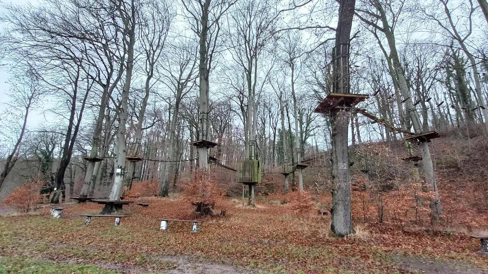 Пейзаж Городского леса Плау с деревьями и тропинкой