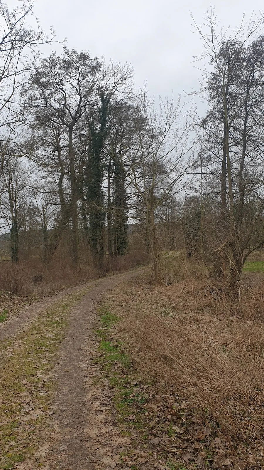 Господский дом Хоппенраде, историческая усадьба в Германии.