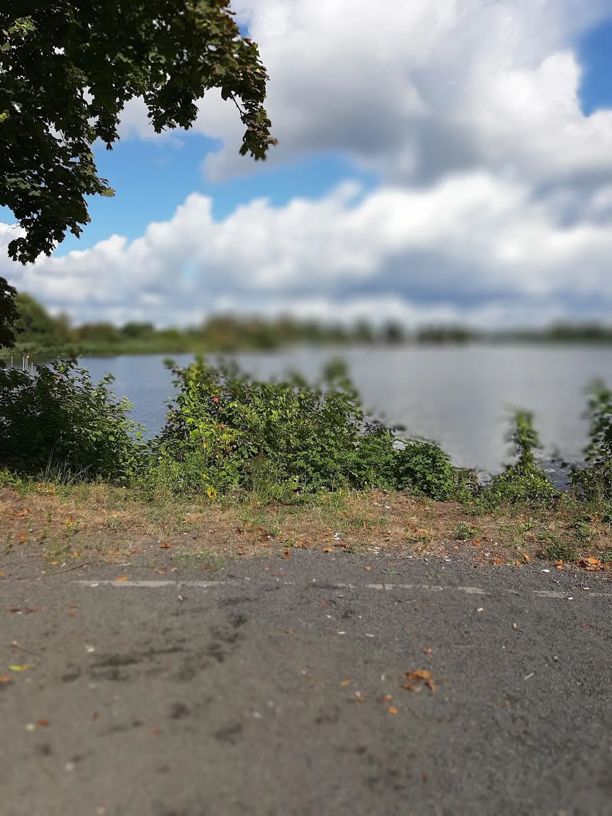 Набережная Гриллендамм в Бранденбурге