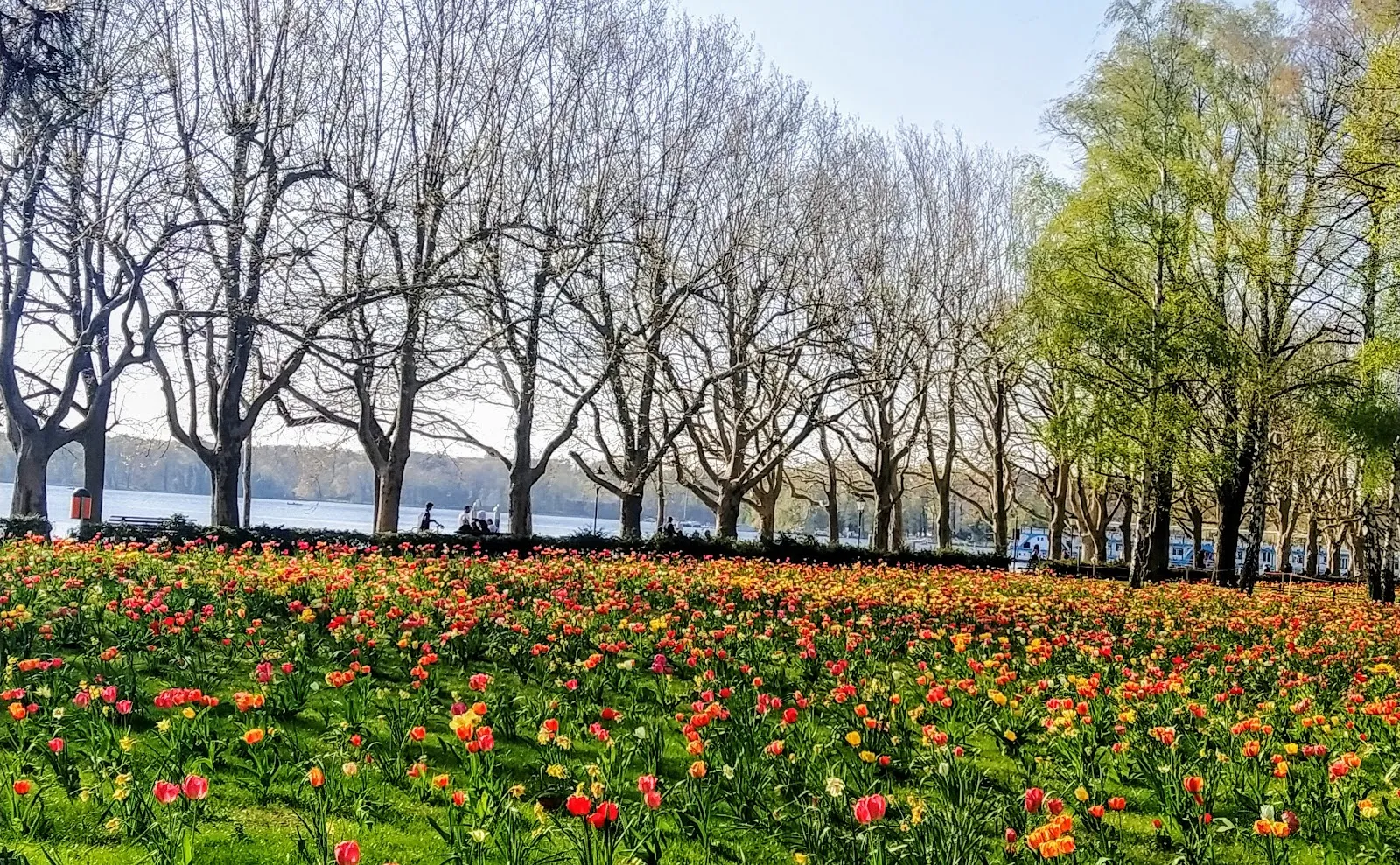 Вид на Гринвичскую набережную в Берлине с озером