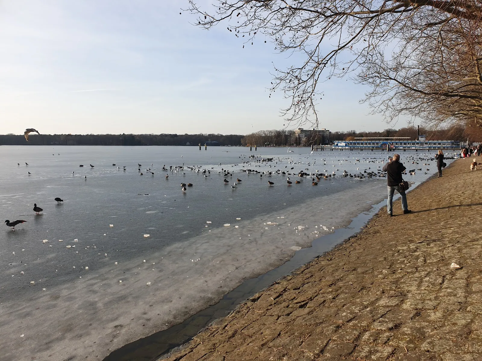 Вид на Гринвичскую набережную в Берлине с озером