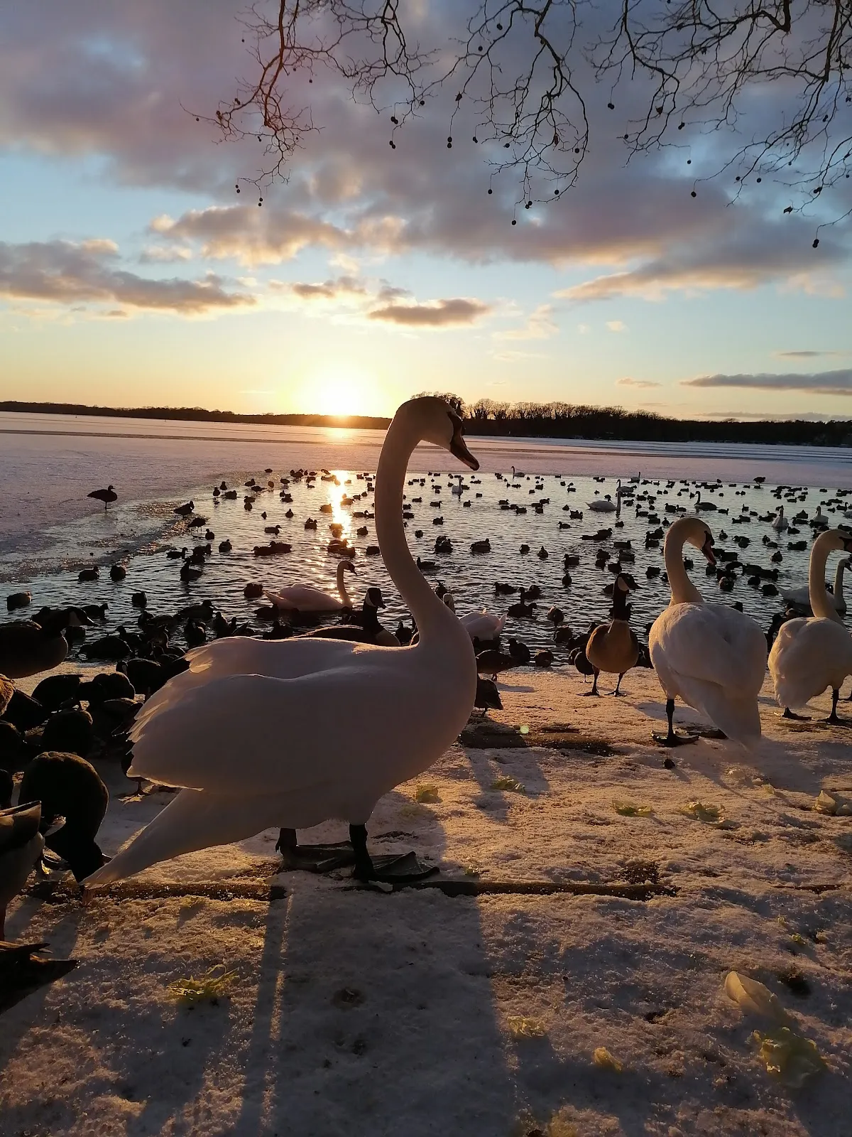 Вид на Гринвичскую набережную в Берлине с озером
