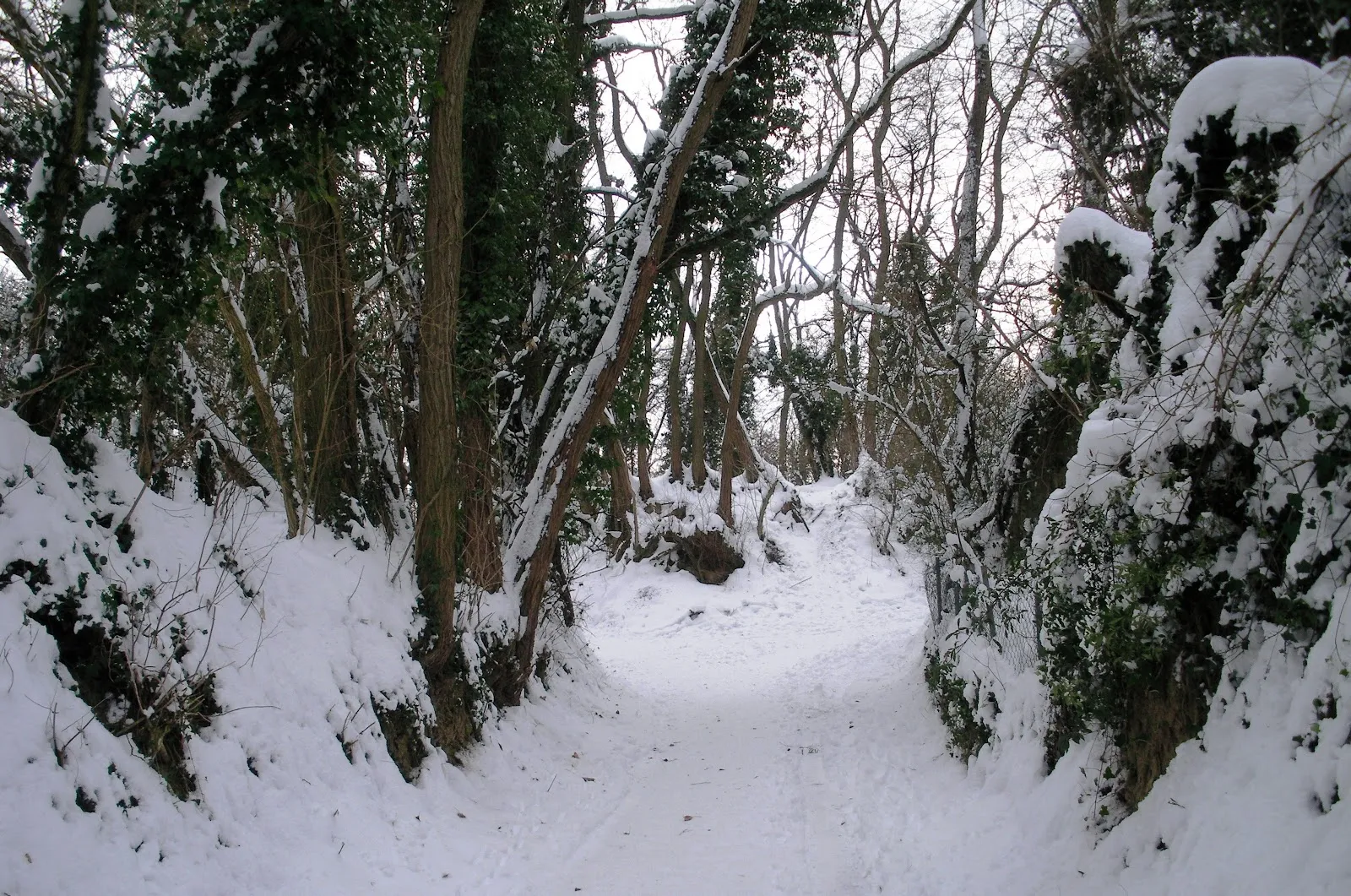 Грётцинген