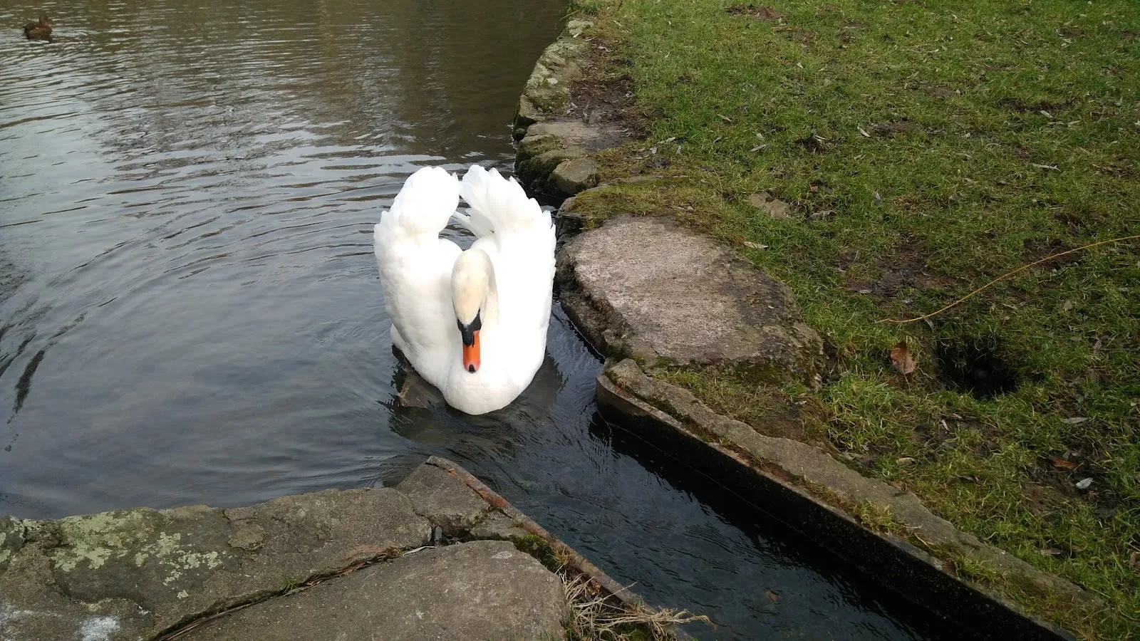 Вид на Грюнбергское водное искусство, историческую водонапорную башню в Грюнберге, Германия.