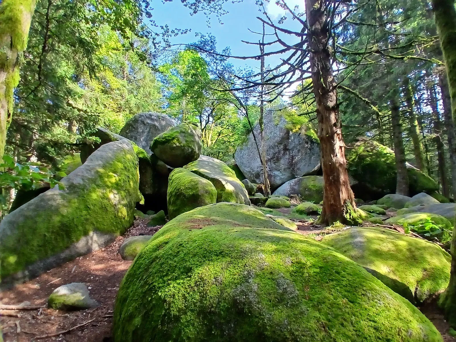 Гюнтерсфелзен