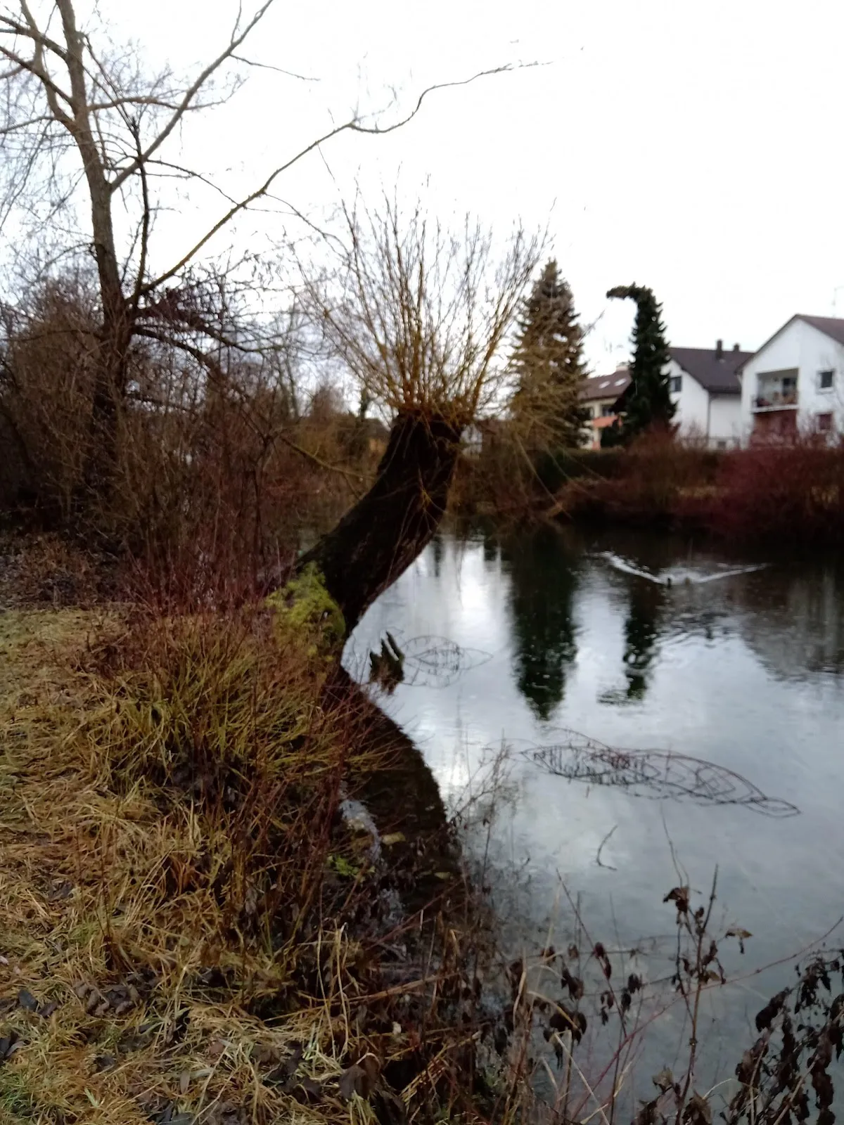 Хайденхайм-на-Бренце, Германия