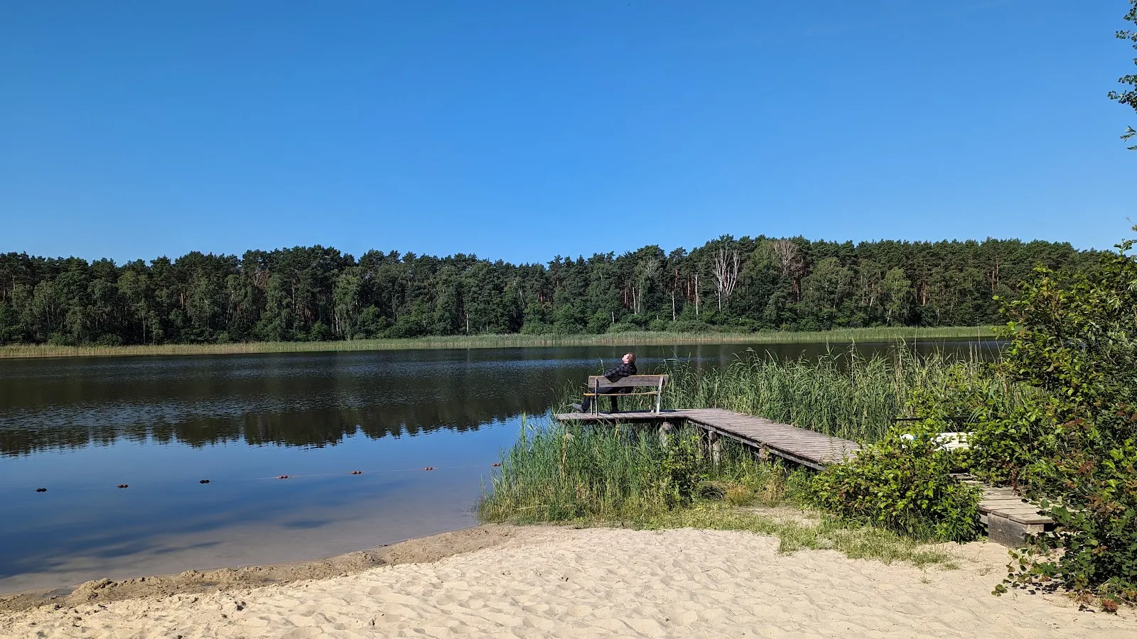 Живописное озеро Хайдезе в Германии, окруженное зеленью